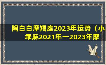 陶白白摩羯座2023年运势（小乖麻2021年一2023年摩 🦈 羯运）